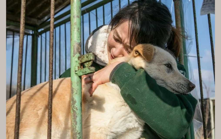 Corea del Sur alista prohibir el consumo de carne de perro