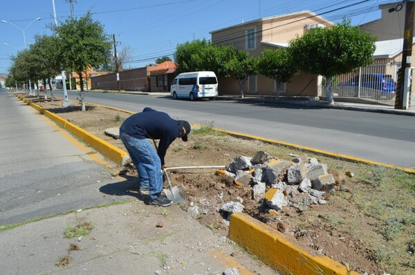 Repara Gobierno Municipal guarniciones y banquetas del camellón en calle Trasviña y Retes