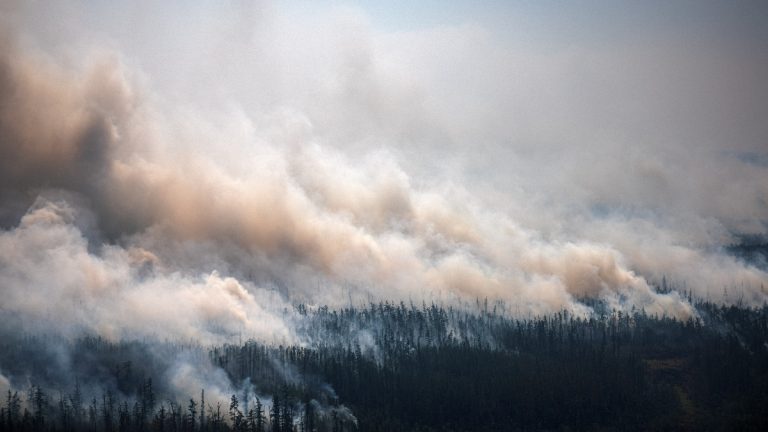 Incendios en Siberia consumen más de 3.4 millones de hectáreas; humo llega al Polo Norte